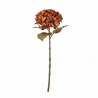 Tige Hydrangea