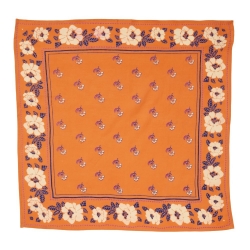 Petit foulard indien / Clémentine