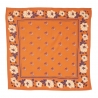 Petit foulard indien / Clémentine